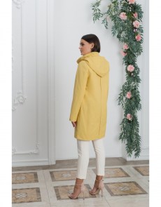 905-горчичный-3